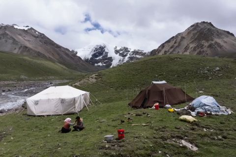Penggembala Tibet nikmati mata pencaharian selama musim migrasi