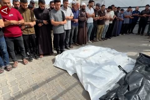 45 Warga Palestina tewas akibat serangan militer Israel di Gaza