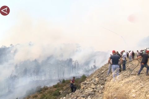 Turki berjuang tangani kebakaran hutan di tengah tantangan cuaca
