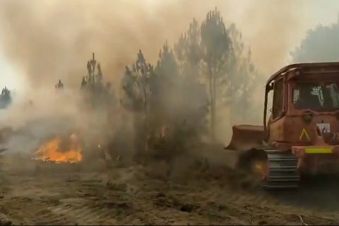 Spanyol kerahkan pihak militer untuk tangani kebakaran hutan