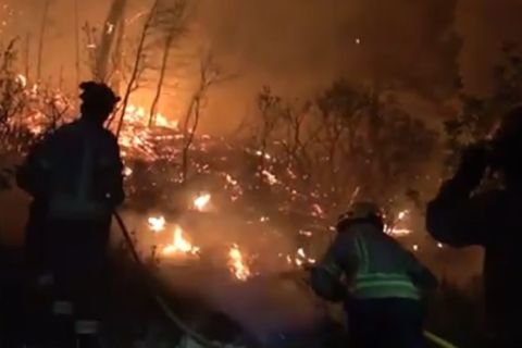 18 ribu orang berlindung di rumah akibat kebakaran hutan di Spanyol