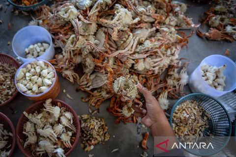 Nilai ekspor produk perikanan kuartal I 2025 meningkat 6,5 persen