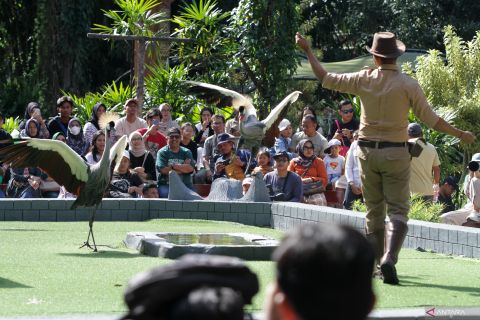 Perjalanan wisatawan nusantara ke Jawa Timur meningkat
