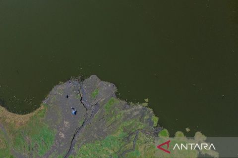 Danau Ranu Pani mengalami pendangkalan, begini langkah pemulihan ekosistem dari TNBTS