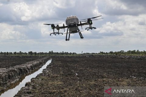 Canggih! petani di Kalsel kini gunakan drone untuk menanam padi