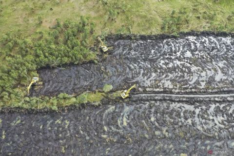 Kementan targetkan cetak sawah rakyat seluas 30 ribu hektare di Kalsel