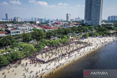Ratusan peserta berebut hadiah dalam panjat pinang kolosal di Ancol