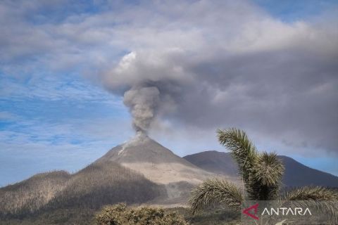 Gunung Lewotobi Laki-laki erupsi, muntahkan kolom abu setinggi 4 km