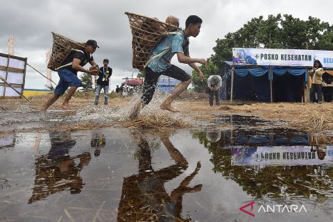 Keseruan lomba malanjong kelapa menyambut tradisi mandi safar di Jambi