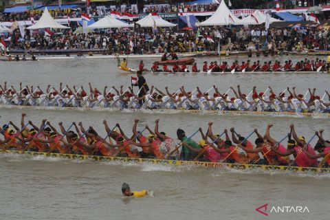 Festival Pacu Jalur 2025 di Riau diikuti 228 peserta