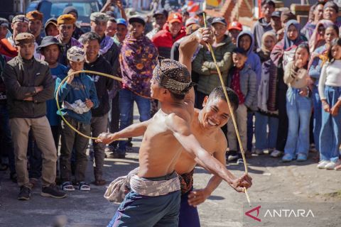 Adu pukul rotan dalam Tradisi Ojung Suku Tengger