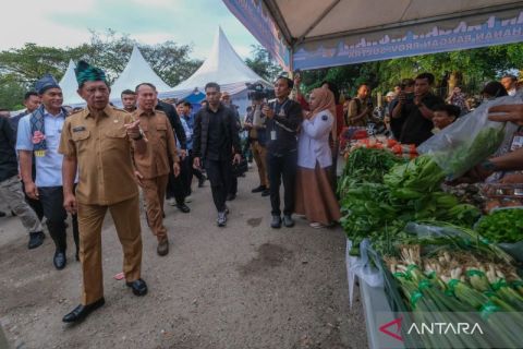 Mendagri tinjau pangan murah di Kendari