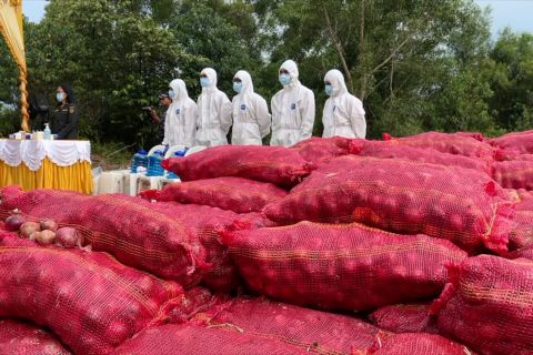 Barantin Kepri musnahkan 4 ton bawang merah terkontaminasi bakteri