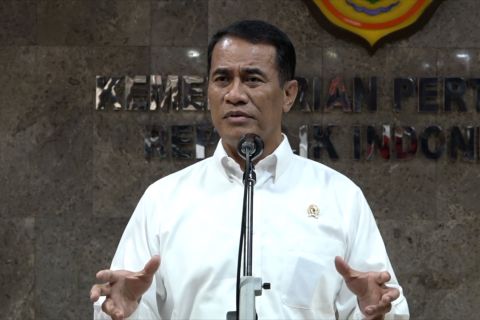 Rekor surplus beras nasional dorong ekonomi kerakyatan