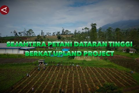 Sejahtera petani dataran tinggi berkat UPLAND Project (bagian 3)