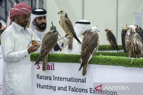 Pameran Berburu dan Elang Internasional S'hail Katara 2025