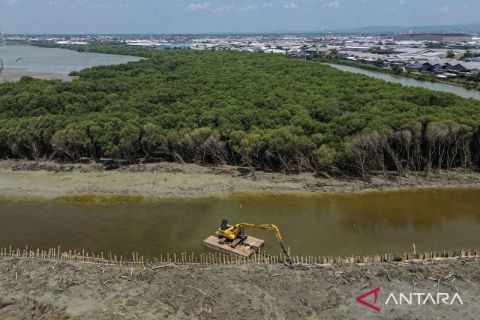 Hutan bakau Indonesia mampu menyimpan karbon dioksida hingga usia ribuan tahun