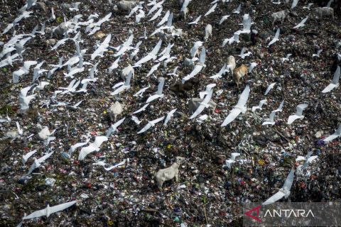 Dorong energi hijau, pemerintah akan sulap sampah menjadi listrik