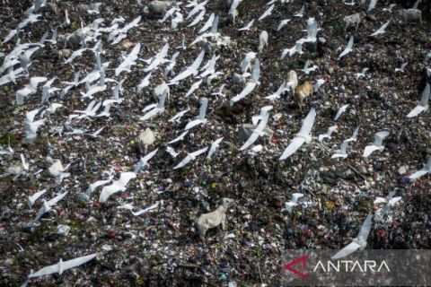 PLTSa ditargetkan tambah pasokan energi hijau dan kurangi sampah perkotaan