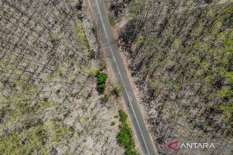 Fenomena hujan jati meranggas rawan sebabkan kebakaran di Nganjuk