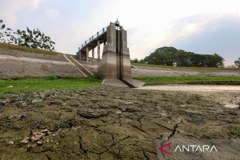 Irigasi 1.000 hektare lahan pertanian di Nganjuk terganggu akibat Waduk Perning mengering