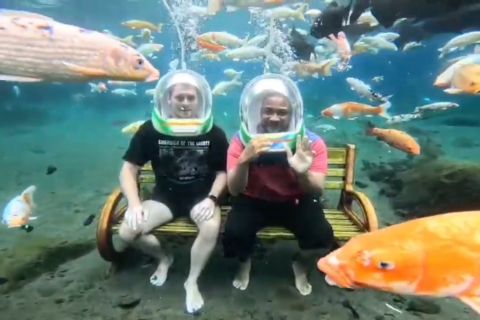 Pengembangan Desa Ponggok Klaten jadi fokus Menteri Transmigrasi