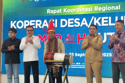 Seribu Koperasi Desa Merah Putih jadi percontohan pembiayaan Himbara