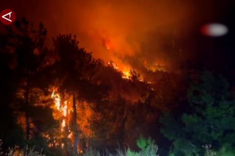 Gelombang kebakaran hutan melanda wilayah Barat dan Selatan Turki