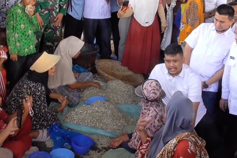 Gubernur Sumut serap aspirasi UMKM nelayan di Desa Tanjung Leidong