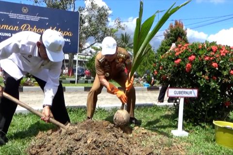 Pemprov Sultra tanam 5.000 pohon kelapa dukung ketahanan pangan lapas