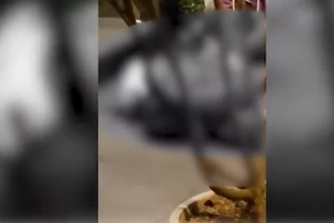 Staf KBRI Lima tewas ditembak orang tak dikenal