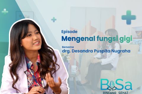 Mengenal fungsi gigi