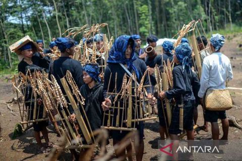 Tradisi Ngaseuk Suku Badui memasuki musim tanam padi gogo