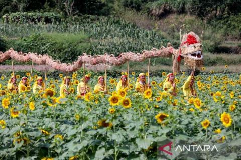 Festival Pertengahan Musim Gugur di Anhui