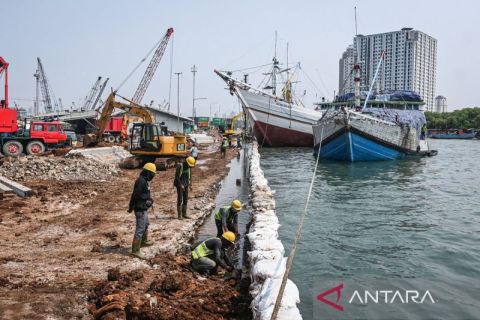 Cegah banjir rob, Pelindo tinggikan tanggul laut di Pelabuhan Sunda Kelapa