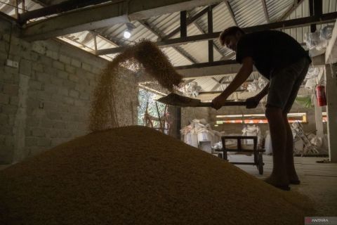 Huler tenaga energi listrik untuk kemandirian pangan