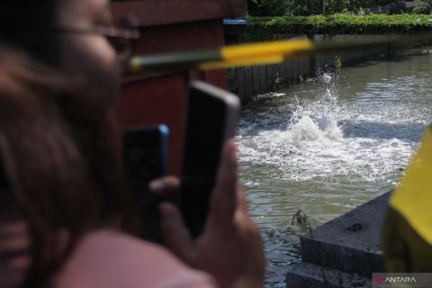 Gelembung-gelembung berbau gas menyembur keluar dari sungai di Surabaya