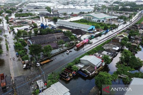 Sebanyak 8.180 jiwa terdampak banjir di Semarang