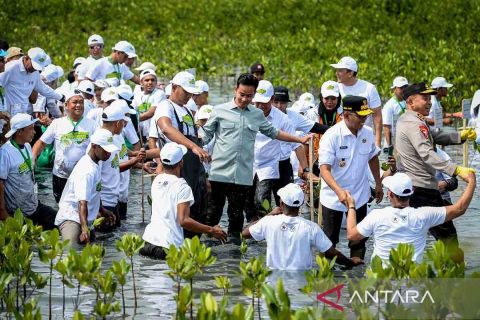 Wapres Gibran tanam mangrove di Tangerang