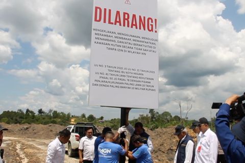Satgas amankan dan hijaukan kembali area tambang ilegal di wilayah IKN