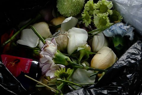 BKHIT Maluku musnahkan bunga dan ayam ilegal demi cegah penyakit hewan