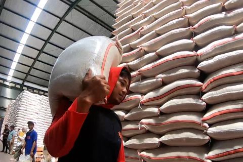 Satu tahun pemerintahan Prabowo, NTP tertinggi dan produksi beras naik