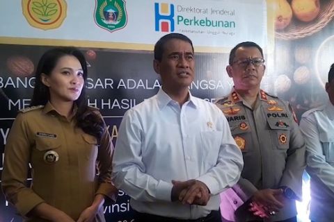 Kelapa dan pala asal Maluku Utara diproyeksikan jadi komoditas global