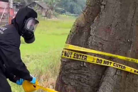 Kemensos sediakan bantuan sosial bagi warga terdampak radiasi CS 137
