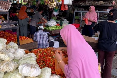 Wali Kota Batam sebut inflasi di wilayahnya sangat terkendali