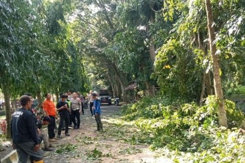 Satlantas Polres Langkat bersihkan pohon tumbang