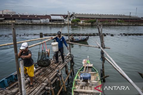 KKP luncurkan RAN PPSK untuk perkuat kesejahteraan nelayan kecil