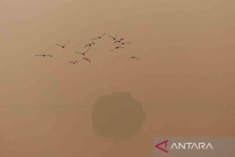 Polusi udara di New Delhi dan Karachi