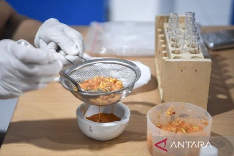 Uji kualitas makanan program MBG di Samarinda