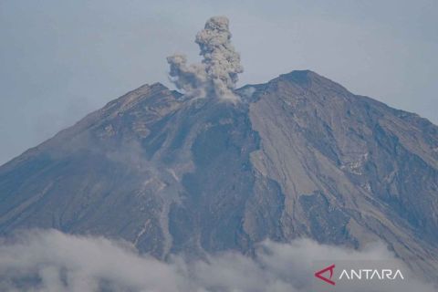Gunung Semeru tercatat mengalami erupsi sebanyak 143 kali